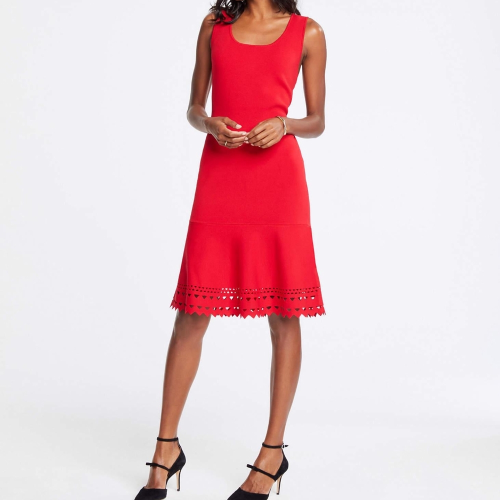 Ann Taylor Sweater Dress.